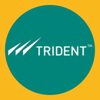 Trident Limited