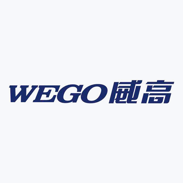 Shandong Weigao Group Medical Polymer Company Limited