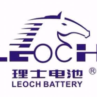 Leoch International Technology Limited