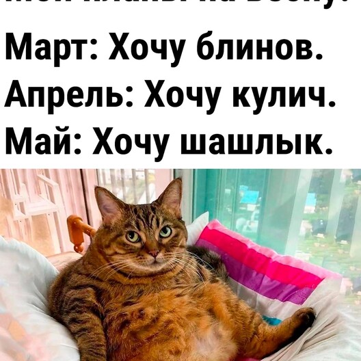 Профиль